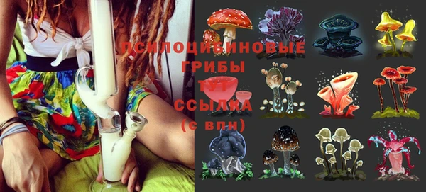мяу мяу мука Зерноград