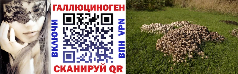 Псилоцибиновые грибы GOLDEN TEACHER  Купить  Нововоронеж 