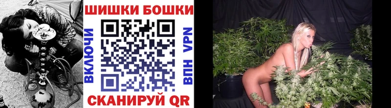 Канабис OG Kush Нововоронеж
